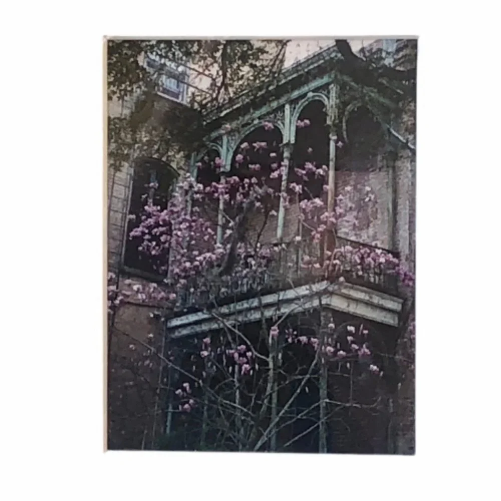 New Orleans Valerie Flemings Photography Art Photo Signed